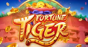BetEnsured Slots ဂိမ်း Myanmar – ကစားသမားများ ရသောအခွင့်အရေးများ
